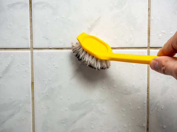 Best Post-Flood Mold Remediation in Barrington, IL