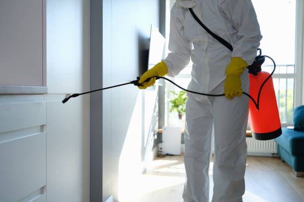 Professional Mold Remediation in Barrington, IL