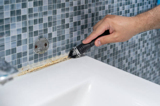 Best Localized Mold Remediation (e.g., coastal areas, humid climates) in Barrington, IL